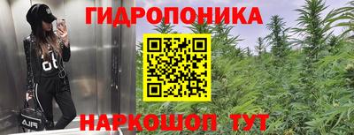 jwh Лесосибирск