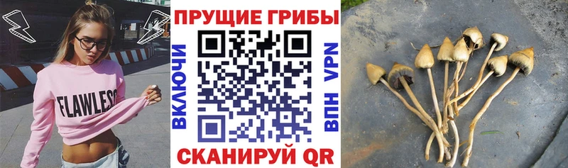 Псилоцибиновые грибы мухоморы  Советск 