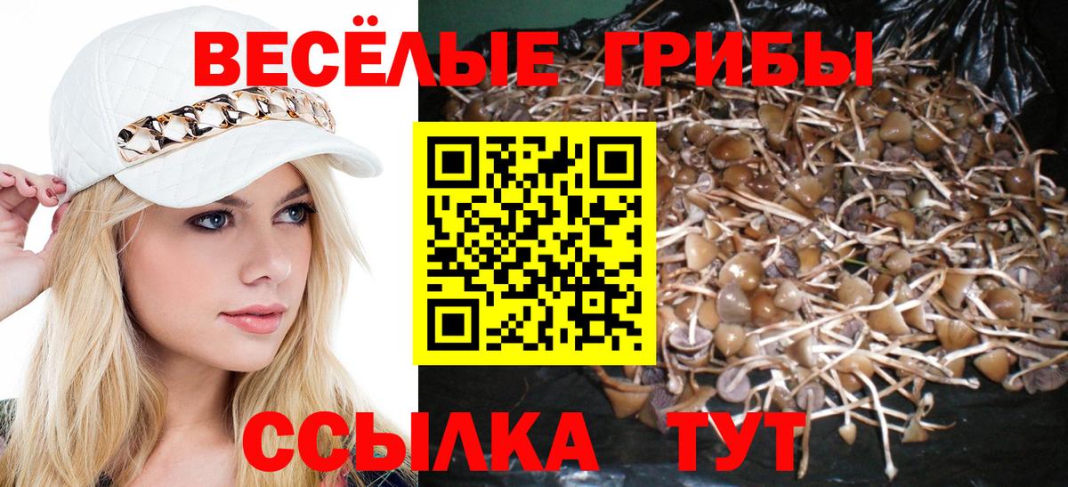 наркошоп  Вход с VPN  Советск  Псилоцибиновые грибы GOLDEN TEACHER  Галлюциногенные грибы MAGIC MUSHROOMS 