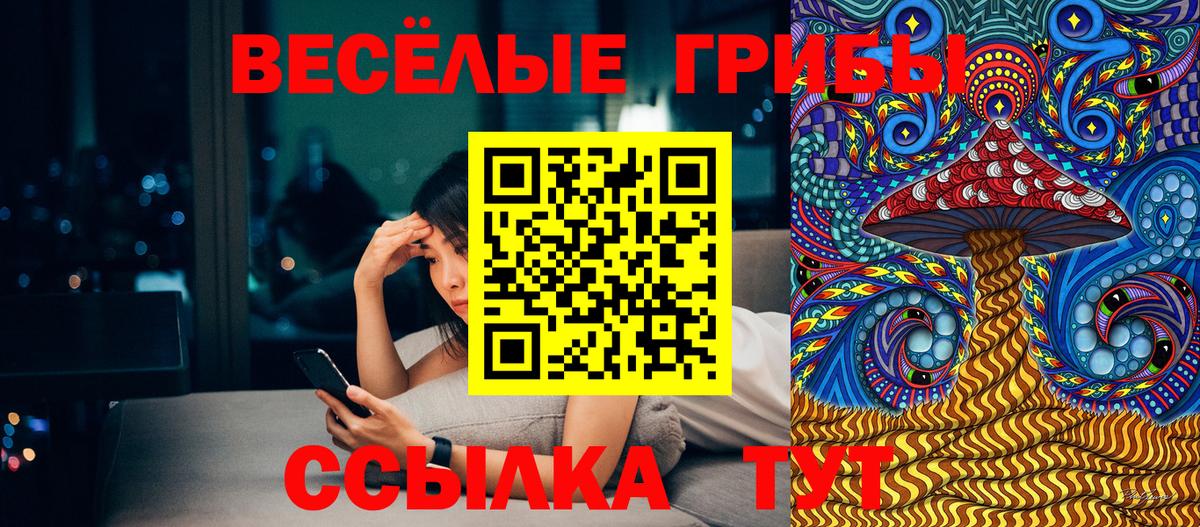 Галлюциногенные грибы мухоморы  Вход с VPN  где купить наркотик  Советск 