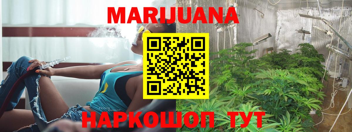 Конопля ГИДРОПОН Советск